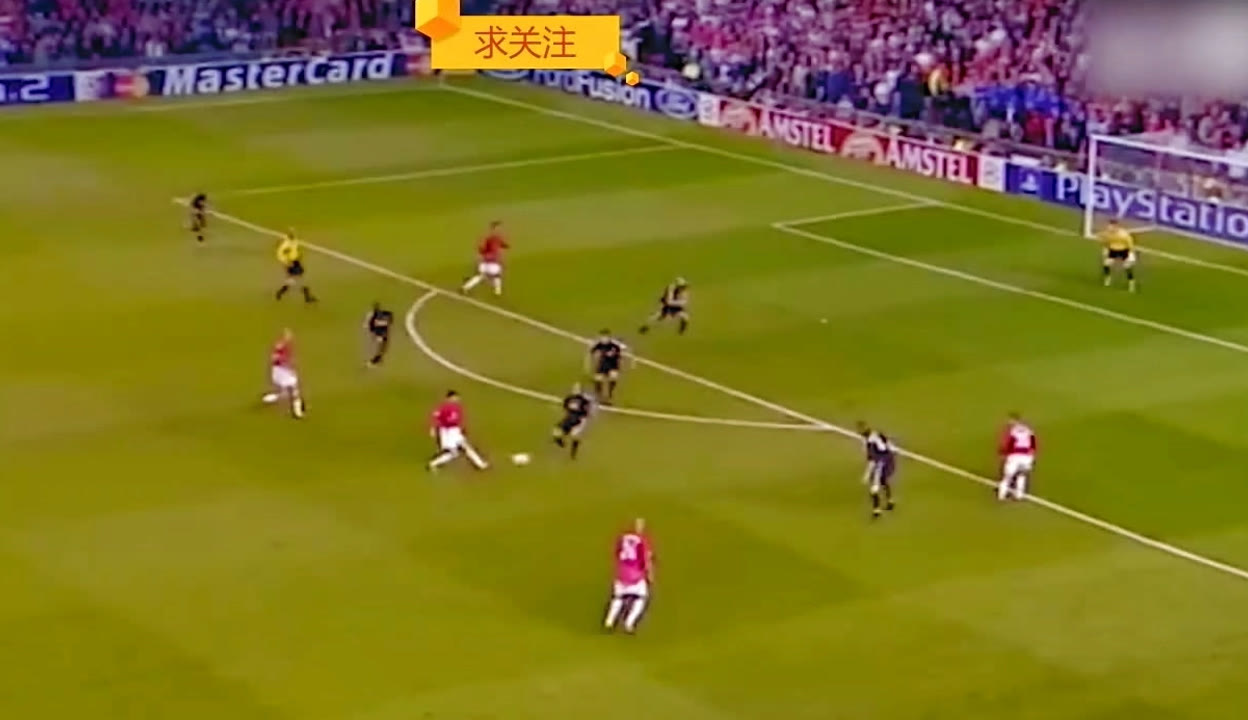 四川丰谷酒 四川丰谷酒